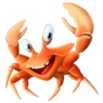  Crazy Crab Cayman